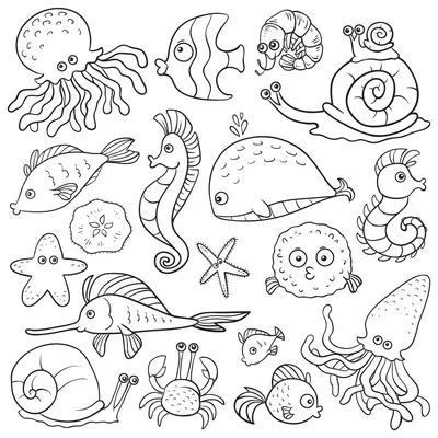 Раскраски морские животные бесплатно для печати