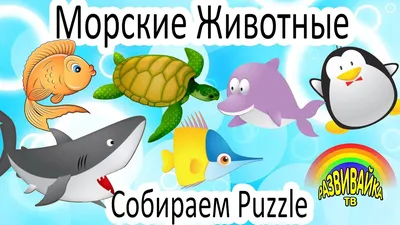 Морские животные | Животные | LEGO.com RU