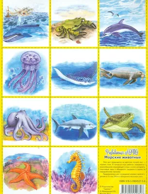 Иллюстрация 1 из 5 для Развивающее лото \"Морские животные\" | Лабиринт -  игрушки. Источник: Лабиринт