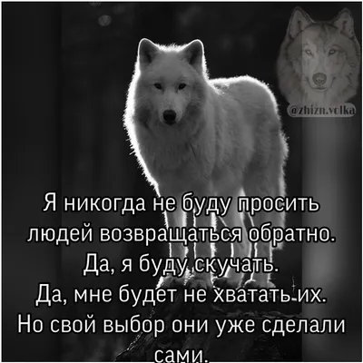 Коврик противоскользящий JoyArty \"Мудрый волк\" для ванной, сауны, бассейна,  bath_22150 - выгодная цена, отзывы, характеристики, фото - купить в Москве  и РФ