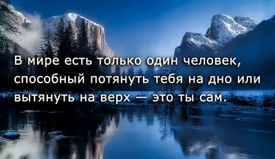 Мудрые мысли на каждый день в картинках (49 фото) » Юмор, позитив и много  смешных картинок