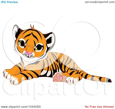 Tiger cub. Тигрёнок. PNG. | Тигрята, Тигр