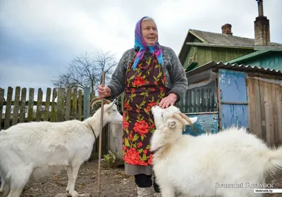 Ты козел - прикольные картинки (49 фото)