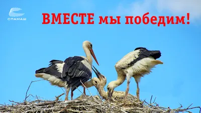 МЫ ПОБЕДИЛИ САМУРАЕВ БЕЗ АТОМНЫХ БОМБАРДИРОВОК - «Военные комиссариаты  России» информационно-аналитический и методический журнал Минобороны России