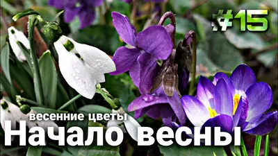 Начало весны, пейзаж, Россия, природа…» — создано в Шедевруме