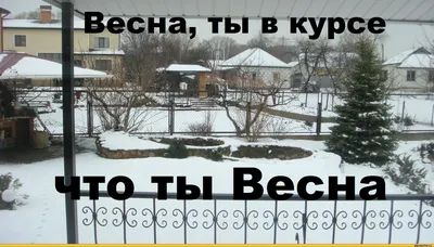 КнигоТоп выходного дня: Юрий Визбор «Надоело говорить и спорить» -  Национальная библиотека им. А. С. Пушкина Республики Мордовия