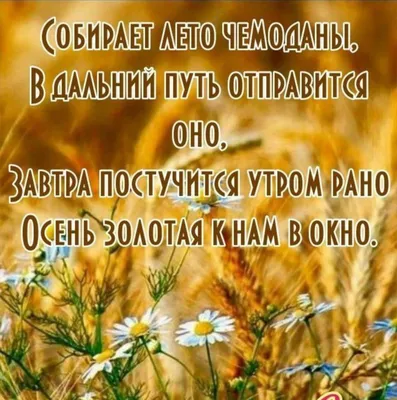 Как не допустить жестокого обращения с малышом, или слабонервным НЕ читать!  | Игорь Новокриницкий | Дзен