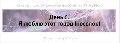 Романтический квест по поиску подарка «Я тебя люблю» – Настольные игры –  магазин 22Games.net