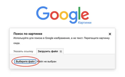 Как определить шрифт по картинке: способы узнать бесплатно и онлайн