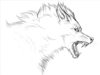 [77+] Нарисованные волки картинки обои