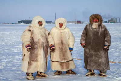 Эксперты ПОРА предложили обучить коренные народы Севера предпринимательству  - International Centre for Reindeer Husbandry - ICR