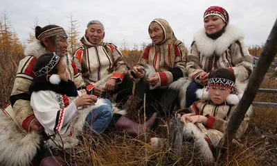 Как коренные народы Севера переносят холод | ЯМАЛ-МЕДИА | Дзен