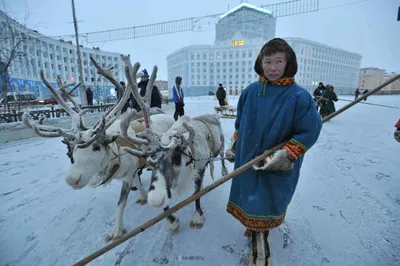 Коренные народы Таймыра в Дудинке и вокруг – GoArctic.ru – Портал о  развитии Арктики