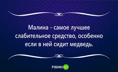 Тоскливый Новый год: что делать, если нет праздничного настроения - МК  Карелия