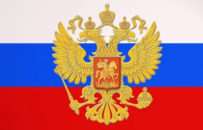 Национальная безопасность России | лЭмур | Дзен
