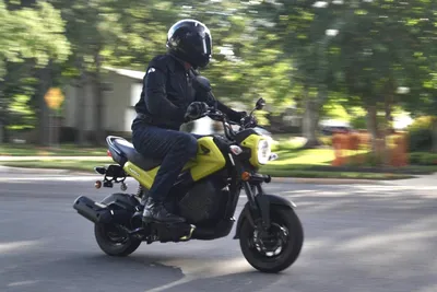 2022 Honda Navi First Ride Review | Cycle World