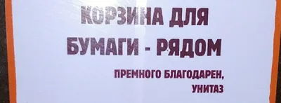 Почему нельзя бросать туалетную бумагу в унитаз - не повторяйте эту ошибку  — УНИАН