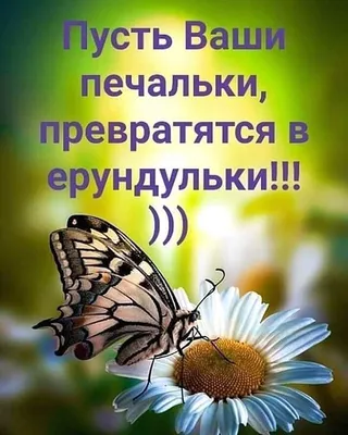 Идеи на тему «Не грусти.» (13) | веселые картинки, смешные смайлики,  открытки