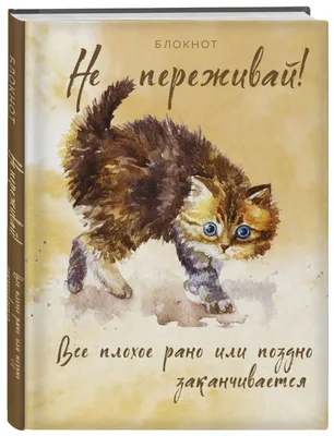 Блокнот. Не переживай! Все плохое рано или поздно заканчивается  «Читай-город»