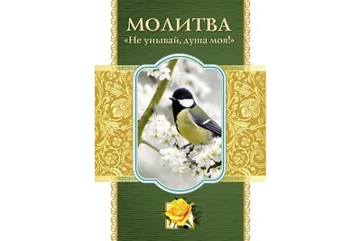 Иллюстрация 3 из 15 для Не унывай! - Людмила Иванова | Лабиринт - книги.  Источник: Лабиринт