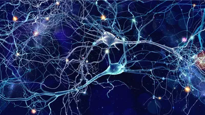 [70+] Нейронная сеть картинки обои