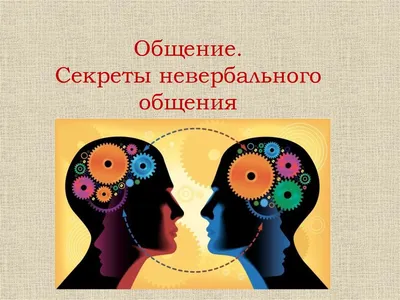 Невербальное общение: как использовать свой язык тела