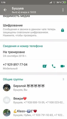 ЧТО ТАКОЕ МОМО WHATSAPP? #Momo - Dailymotion Video