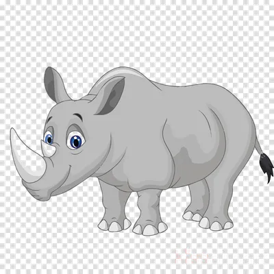 Картонные носороги Векторная иллюстрация носорога Рисунок животного для  детей Зоопарк для детей Иллюстрация вектора - иллюстрации насчитывающей  потеха, шарж: 157586108