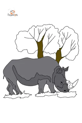 Фигурка животного Derri Animals Носорог детёныш, для детей, игрушка  коллекционная декоративная, 81163 , 7х4х2,3 см - купить с доставкой по  выгодным ценам в интернет-магазине OZON (676215008)