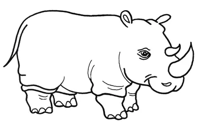 Раскраска носорог детей. Раскраска Раскраска носорог для детей распечатать.  Разукраски.