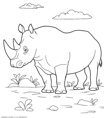 Носорог рисунок для детей - 112 фото