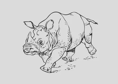 Носорог рисунок для детей карандашом поэтапно легко (47 фото) » рисунки для  срисовки на Газ-квас.ком