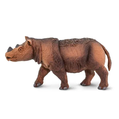 Модель животного, имитационная фигурка, игрушка, носорог, пластиковый  зоопарк, фигурка животного, набор прекрасных моделей, экшн-игрушки для детей  | AliExpress