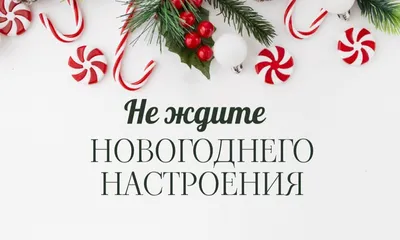 Рухнуть без сил хочется больше, чем есть и пить». Почему нет новогоднего  настроения и что с этим делать - Лайфхакер