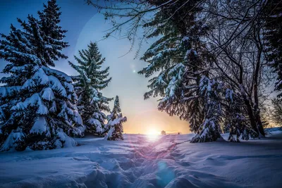 Красивые зимние новогодние пейзажи - фото и картинки: 58 штук