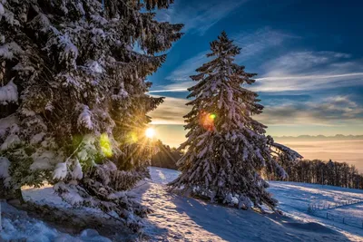 Красивые зимние новогодние пейзажи - 71 фото