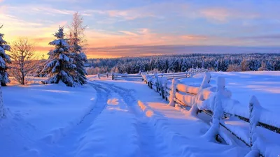 Красивые зимние новогодние пейзажи - 71 фото
