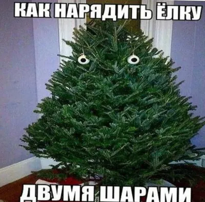 Прикольные новогодние подарки для сладкоежек 😁 Иногда можно пошалить и  преподнести забавный или шуточный презент, особенно, если дело… | Instagram