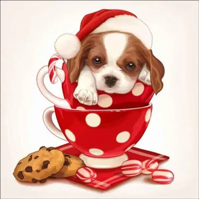 Рисунки новогодней собаки - большая подборка милых Пёсиков | Собаки, Собачки,  Милые собаки