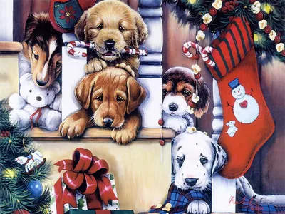 Рисунок - собачки - Новогодние картинки, рисунки и открытки