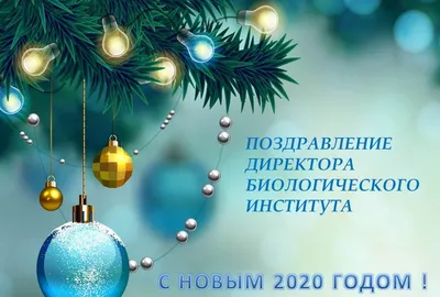 Новогодние открытки 2024 скачать