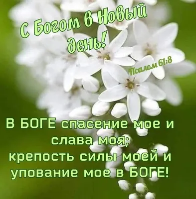 Спред Новый день 72,5% 200 г Крестьянка растительно-сливочный — купить с  доставкой на дом в интернет-магазине Солнечный