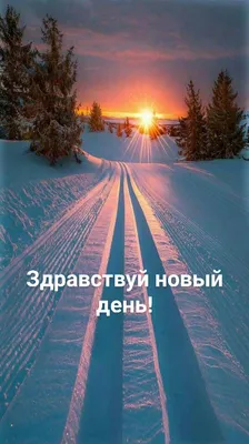 Здравствуй! Новый День Лета! (Дария Павлова) / Проза.ру