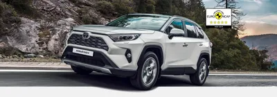 Тойота РАВ 4 (Toyota RAV4 New) новый: цены комплектаций и фото