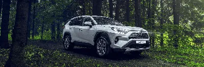 Новая эра Toyota RAV4: прием заказов открыт - Новости - О компании - Тойота  Центр Минск