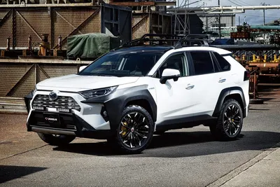 Новый Toyota RAV4 сменил имя на Wildlander - Российская газета