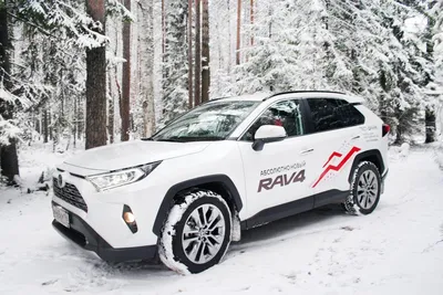 Старт чемпиона: новый Toyota RAV4 установил исторический рекорд продаж