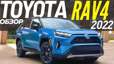 Купить новый Toyota RAV4 в России: комплектации и цены у официальных  дилеров | Цена Авто