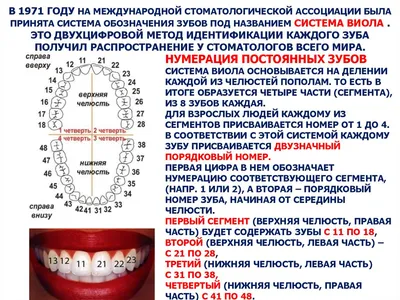 Имплантация и протезирование при наличии сверхкомплектных зубов