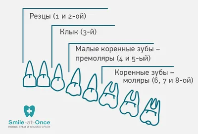 Периодонтит - опасность периодонтита, причины и симптомы, виды периодонтита